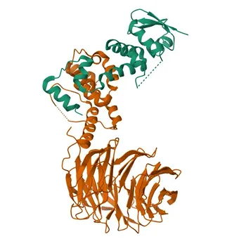Anti-FBXW7 Polyclonal Antibody for WB, IHC-P, ELISA - Q969H0