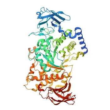 Anti-GBE1 Rabbit Polyclonal Antibody for WB, ELISA - Q04446