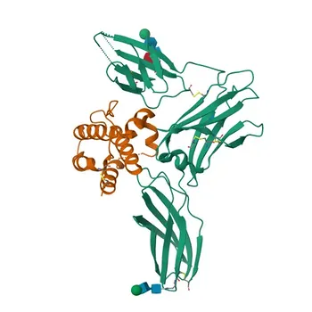 Anti-IL3 Rabbit Polyclonal Antibody for WB, ELISA - P08700