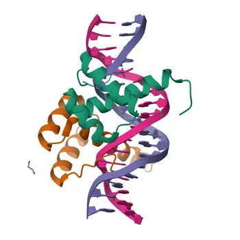 Anti-ALX4 Kaninchen-Polyclonaler Antikörper für WB, ELISA – Q9H161