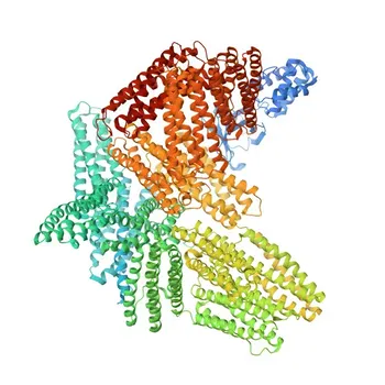 Anti-Talin-1 Polyclonal Antibody for WB, IF-P, ELISA - Q9Y490