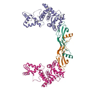 Anti-GFRA2 Rabbit Polyclonal Antibody for WB and ELISA - O00451