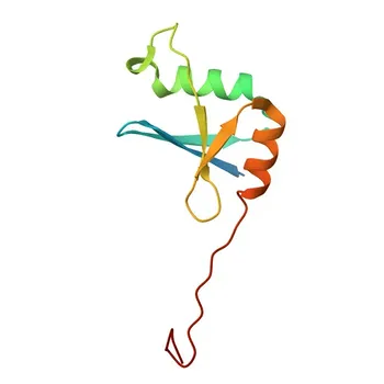 Anti-TRK Fused Gene (TFG) Rabbit Polyclonal Antibody for WB, ELISA - Q92734