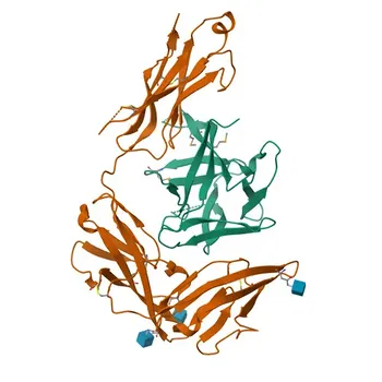 Anti-IL33 Rabbit Polyclonal Antibody for WB, ELISA - O95760