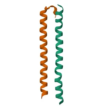 Anti-RASSF5 Polyclonal Antibody for WB, ELISA - Q8WWW0