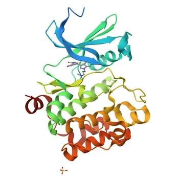 Anti-PIM1 Rabbit Monoclonal Antibody for WB, IHC-P, ELISA - P11309