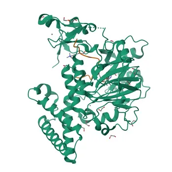 Anti-PHF8 Monoclonal Antibody for WB, ELISA - Q9UPP1