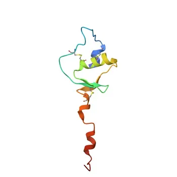 Anti-SPINK5/LEKTI Rabbit Monoclonal Antibody for WB, ELISA - Q9NQ38