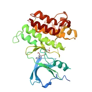 Anti-MERTK Monoclonal Antibody for WB - Q12866