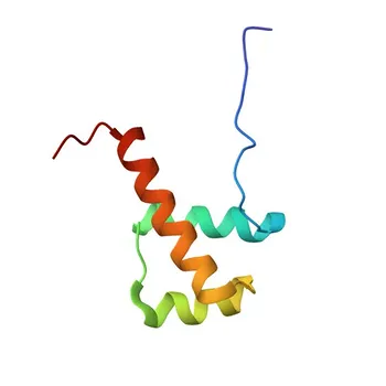 Anticorpo Monoclonal Anti-Hex de Coelho para WB, ELISA - Q03014