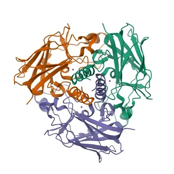 Anti-SUN2 Rabbit Monoclonal Antibody for WB, IHC-P, ELISA - Q9UH99