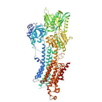 Anticorpo Monoclonal Anti-SERCA2/ATP2A2 para WB, IF/ICC, IP, ELISA - P16615