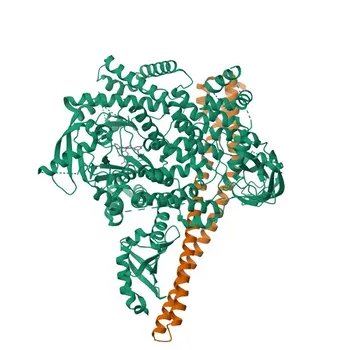 Anti-PI3 Kinase p110 delta Rabbit Monoclonal Antibody for WB, IHC-P, ELISA - O00329