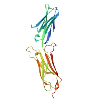 Anti-VCAM1 Rabbit PolymAb® for WB, IF-P, IHC-P, ELISA - P19320 / P29533