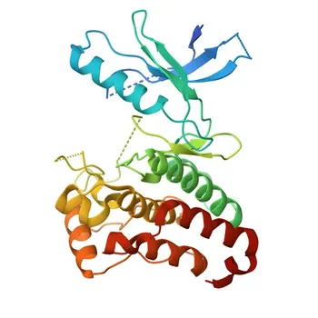 Anti-Eph receptor B3 (EPHB3) Monoclonal Antibody for WB, ELISA - P54753