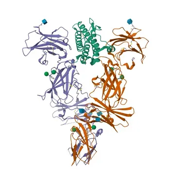 Anticorpo Monoclonal Anti-TPO-R/CD110/c-Mpl para WB, ELISA - P40238