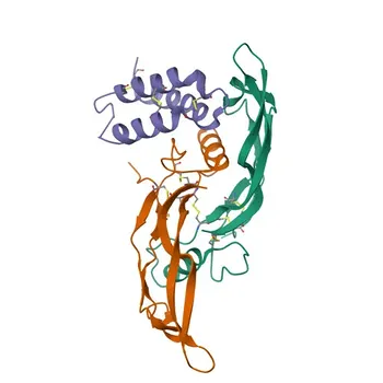 Anticorpo Monoclonal de Coelho Anti-RGMA para WB e ELISA - Q96B86
