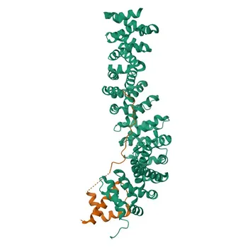 Anti-CTNNBIP1 Rabbit Monoclonal Antibody for WB and ELISA - Q9NSA3
