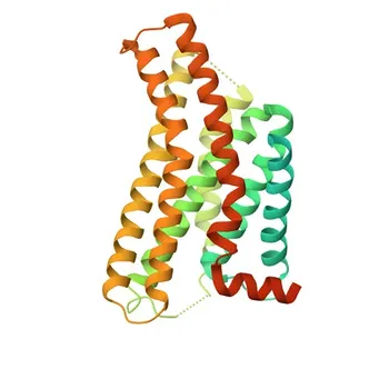Anticorpo Monoclonal de Coelho Anti-CXCR3 para WB e ELISA - P49682