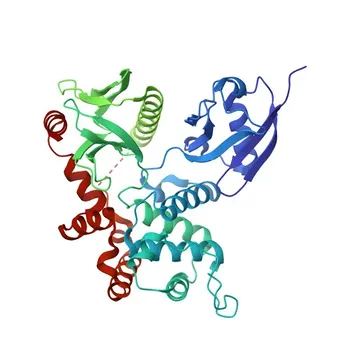 Anticorpo Monoclonal Anti-Ezrin de Coelho para WB, IHC-P, ELISA - P15311