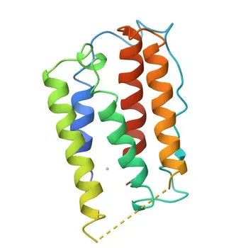 Anticuerpo Monoclonal Anti-Interferón alfa-2 (IFN-α2) para WB, IHC-P, ELISA - P01563