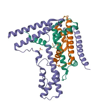 Anticorpo Monoclonal de Coelho Anti-Daxx para WB, ELISA - Q9UER7