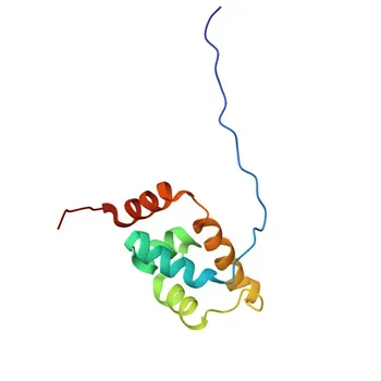 Anticorpo monoclonal de coelho Anti-SATB2 para WB, IHC-P, IP, ELISA - Q9UPW6