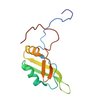 Anticorpo Monoclonal de Coelho Anti-DAZAP1 para WB, IHC-P, ELISA - Q96EP5