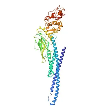 [تم التحقق بواسطة KO] أضداد وحيدة النسيلة من أرنب ضد STAT5B لـ WB, IP, ELISA - P51692