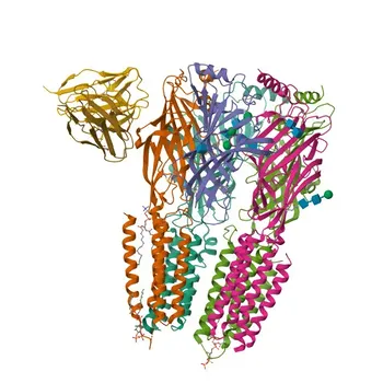 Anti-GABA A Receptor beta 1 (GABRB1) Monoclonal Antibody for WB, ELISA - P18505