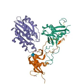 [KO Validated] Integrin alpha 2 (ITGA2/CD49b) Rabbit mAb - P17301