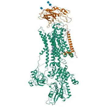 Anticorpo Monoclonal de Coelho Anti-Na+/K+-ATPase para WB, IF/ICC, IHC-P, ELISA - P05023