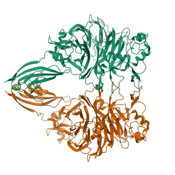 Anti-Semaphorin 4D / CD100 Rabbit Monoclonal Antibody for WB, IHC-P, ELISA - Q92854