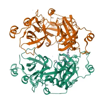 Anticorpo Monoclonal de Coelho L3MBTL3 para WB, IP, ELISA - Q96JM7