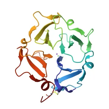 Anti-MMP14/MT1-MMP Monoclonal Antibody for WB, IHC-P, FC, ELISA - P50281