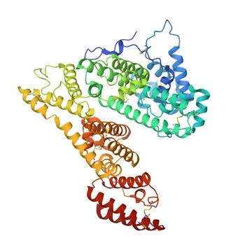 Anticorpo Monoclonal Anti-Alfa-Fetoproteína (AFP) para WB, IF/ICC, ELISA - P02771