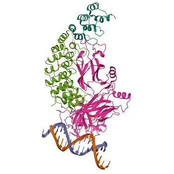 Anticorpo Monoclonal Anti-Notch1 para WB, IP, ELISA - P46531