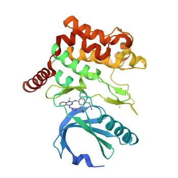 MST4 Rabbit Monoclonal Antibody for WB and ELISA - Q9P289