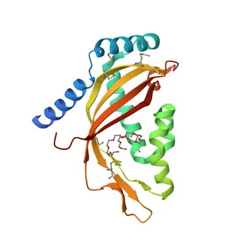 Anticorpo Monoclonal de Coelho Anti-TIM44 para WB e ELISA - O43615