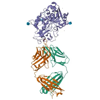 Anticorps Monoclonal Anti-LCAT pour WB, ELISA - P04180