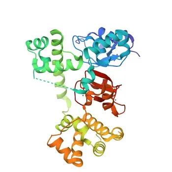 KO Validated Anti-cIAP1 Rabbit Monoclonal Antibody for WB, IHC-P, ELISA - Q13490