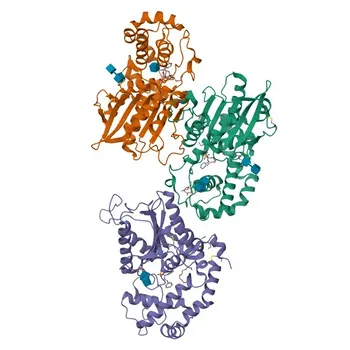 Anti-Prostatic Acid Phosphatase (ACPP) Rabbit PolymAb® for WB, IHC-P, ELISA - P15309