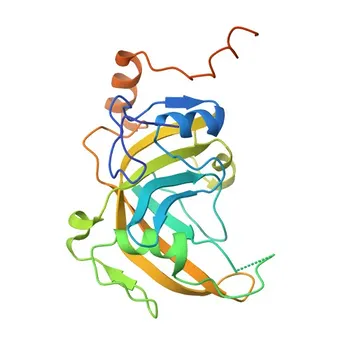 MonoMethyl-UHRF1-K385 Rabbit pAb (Q96T88) - WB, DB, ELISA용 후생유전학 항체