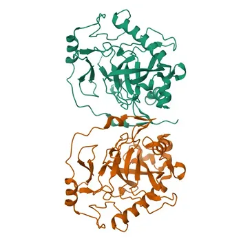 Anticorpo Monoclonal Anti-Pirofosfatase 1 para WB e ELISA - Q15181