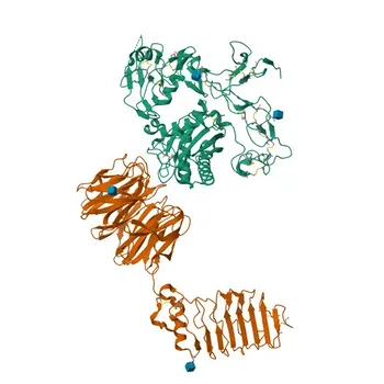 Anti-LGI1 Rabbit Monoclonal Antibody for WB and ELISA - O95970