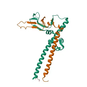 Anticorpo Monoclonal de Coelho Anti-E2F4 para WB e ELISA - Q16254
