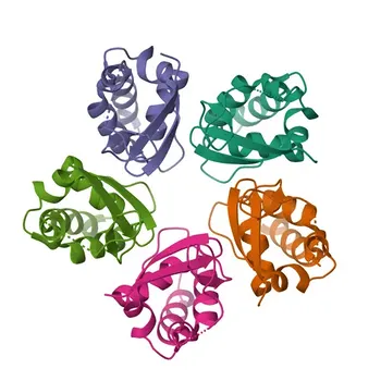 Anti-KCTD9 Monoclonal Antibody for WB, ELISA - Q7L273