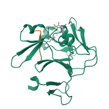 Anti-Prdm9 Rabbit Monoclonal Antibody for IHC-P, ELISA, CUT&Tag - Q96EQ9