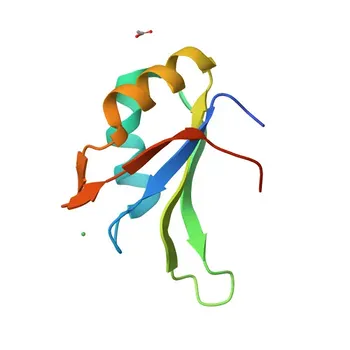 Anticorpo Monoclonal Anti-CIRBP para WB, IP, IF-P, IHC-P, ELISA - Q14011