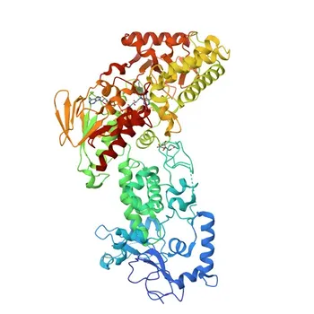 Anti-LSD2/KDM1B/AOF1 Rabbit Monoclonal Antibody for WB, ELISA - Q8NB78